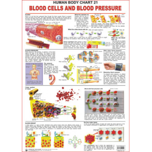 Blood Cells And Blood Pressure Chart