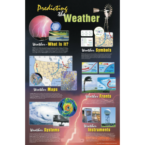 Poster: Predicting the Weather