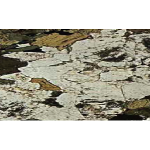 Slide of Granite